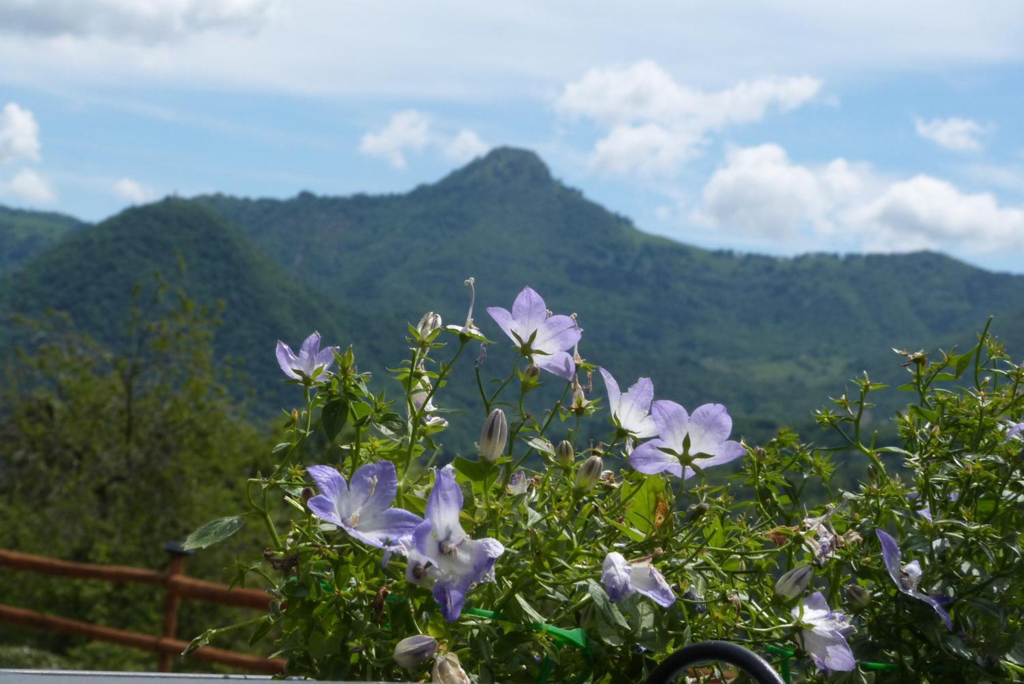 Bed and Breakfast Giardino Tra I Laghi Сан-Феделе-Интельви Экстерьер фото